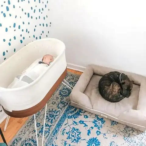 18 truly beautiful blue nursery ideas